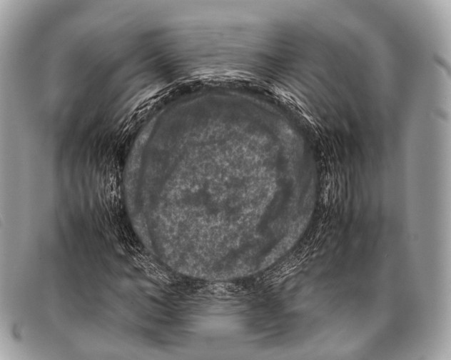 X0000097840966200804111100