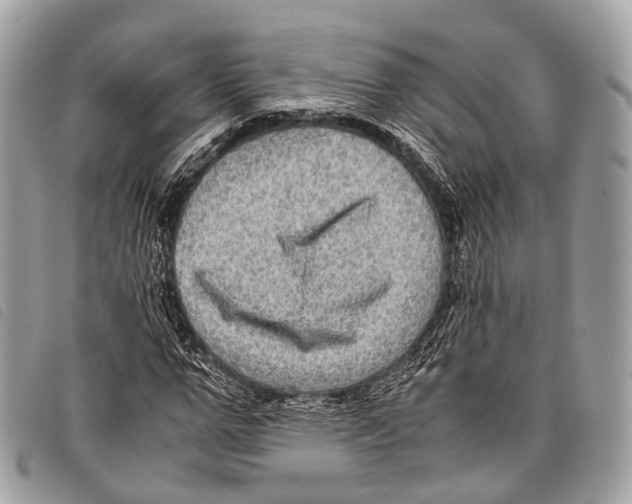 X0000097840967200804111100