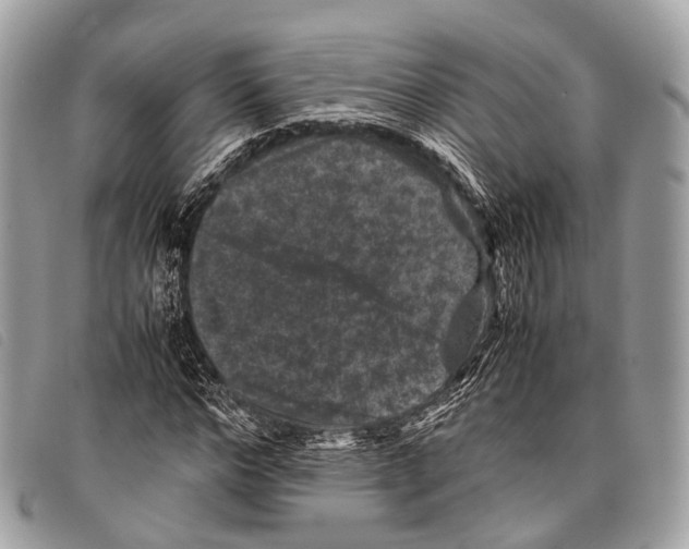 X0000097840968200804111100