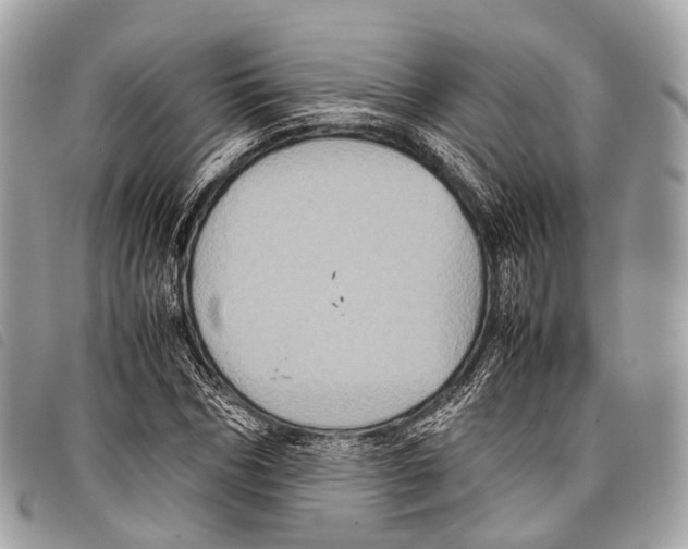 X0000097840970200804111100