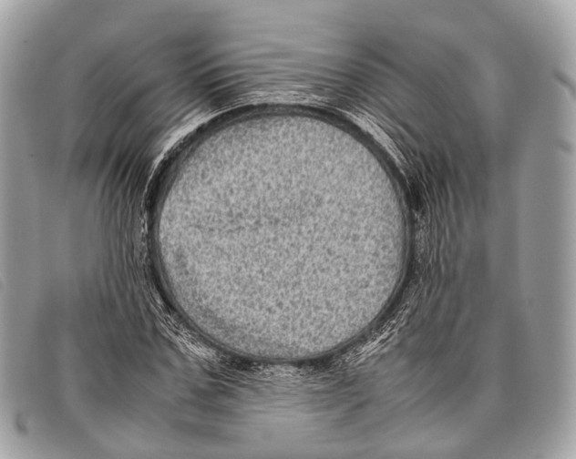 X0000097840971200804111100