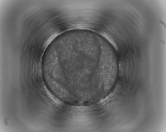X0000097840972200804111100
