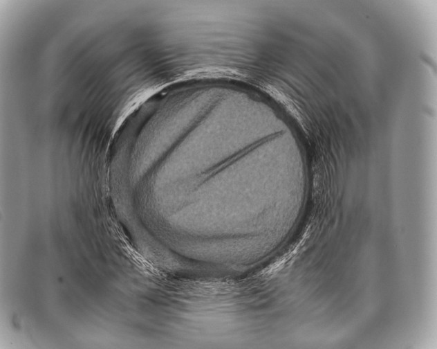 X0000097840973200804111100