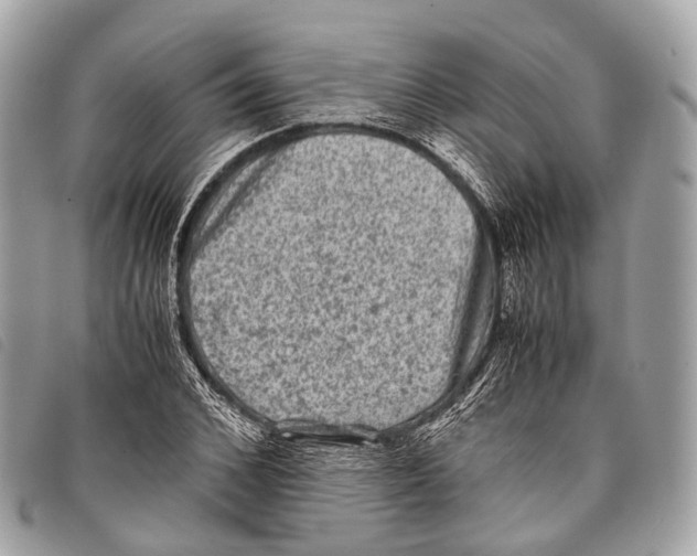 X0000097840976200804111100
