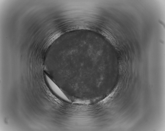 X0000097840977200804111100