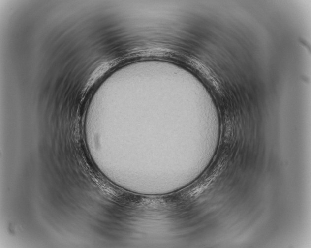 X0000097840978200804111100
