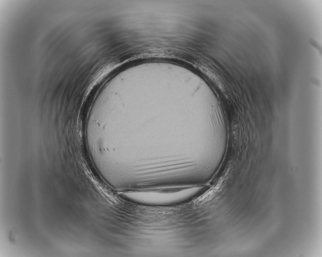 X0000097840981200804111100