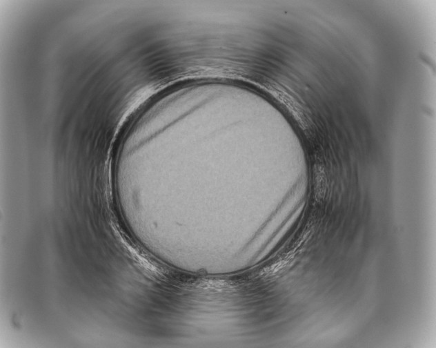 X0000097840982200804111100