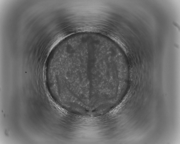 X0000097840983200804111100