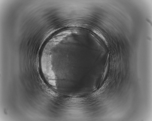 X0000097840984200804111100