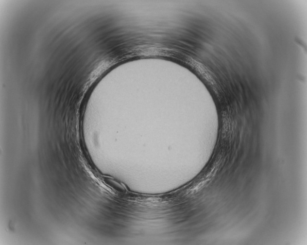 X0000097840986200804111100