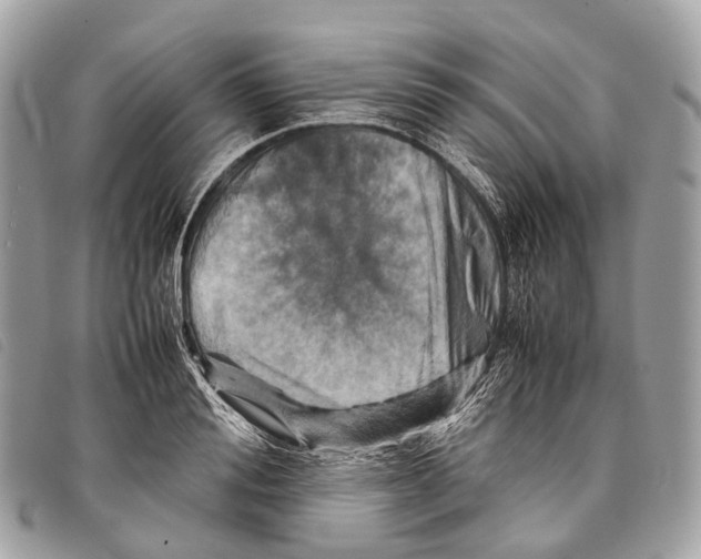 X0000097840988200804111100