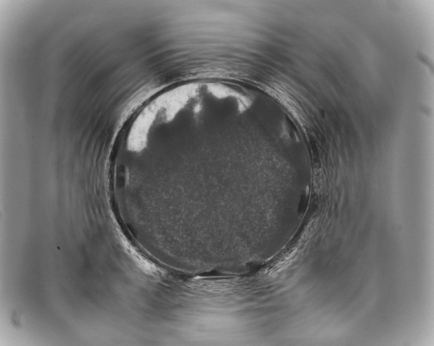 X0000097840995200804111100