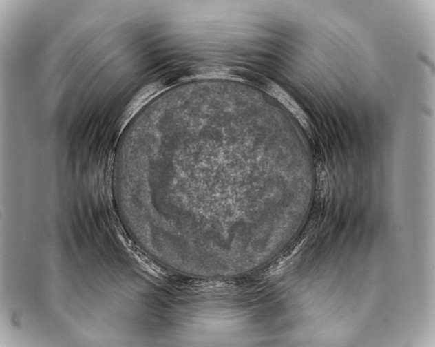 X0000097841002200804111059