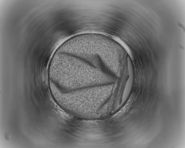 X0000097841004200804111059