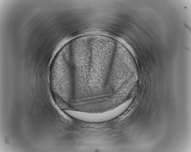 X0000097841005200804111059