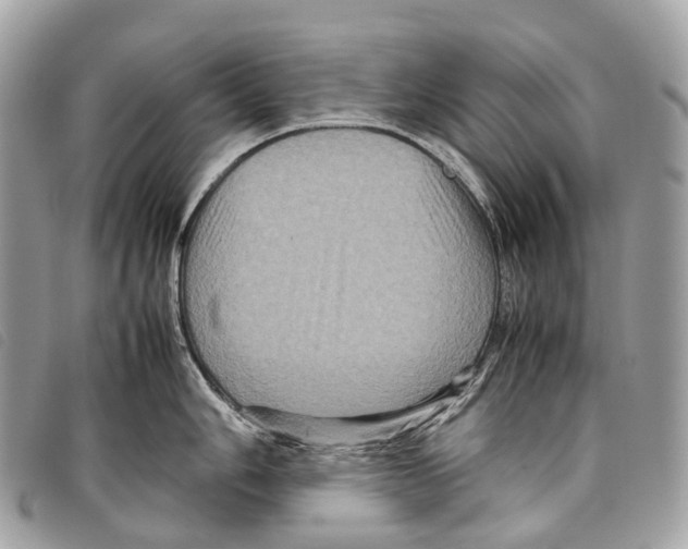 X0000097841006200804111059