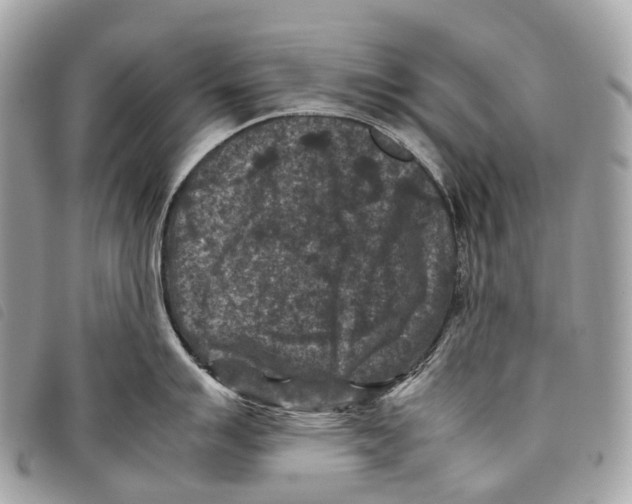 X0000097841007200804111059