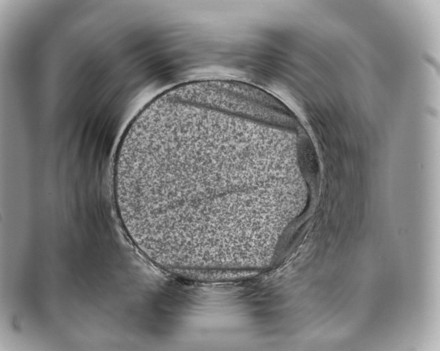 X0000097841008200804111059