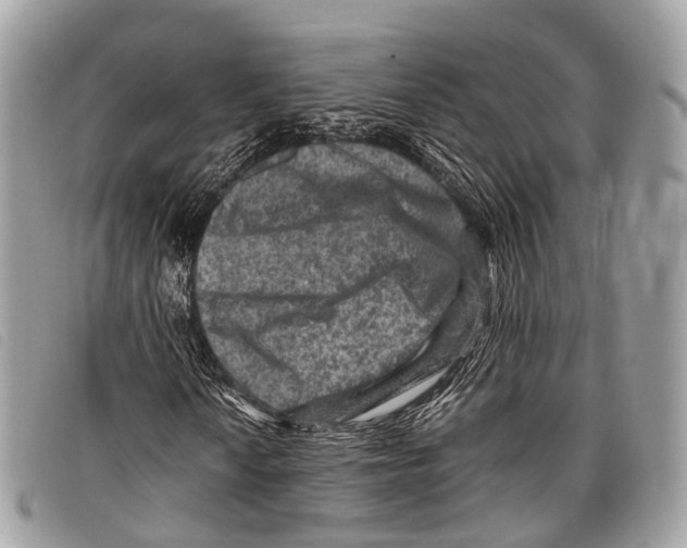 X0000097841010200804111059