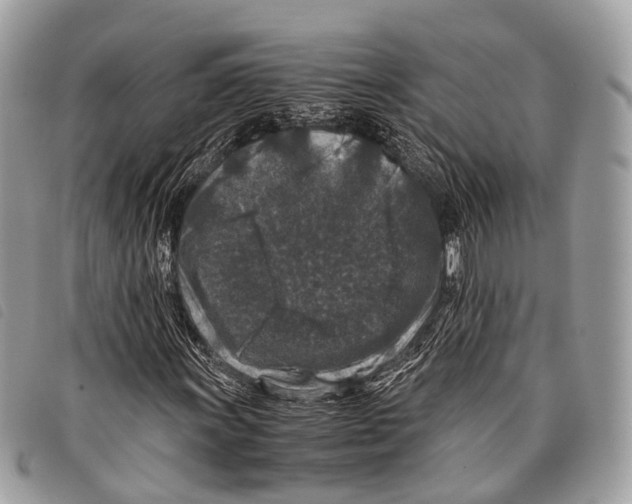 X0000097841011200804111059