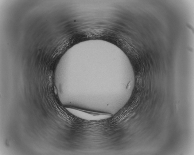 X0000097841012200804111059
