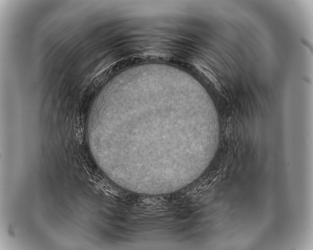 X0000097841015200804111059