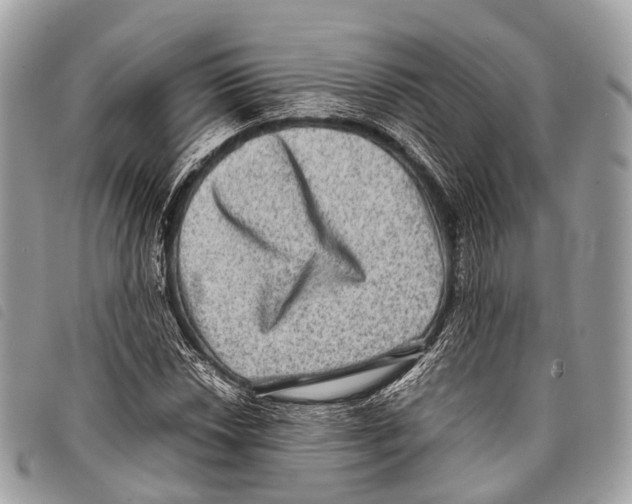 X0000097841018200804111059