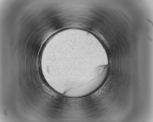 X0000097841020200804111059
