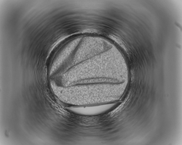 X0000097841021200804111059