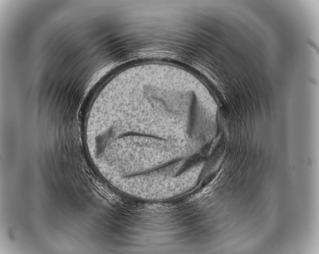 X0000097841022200804111059