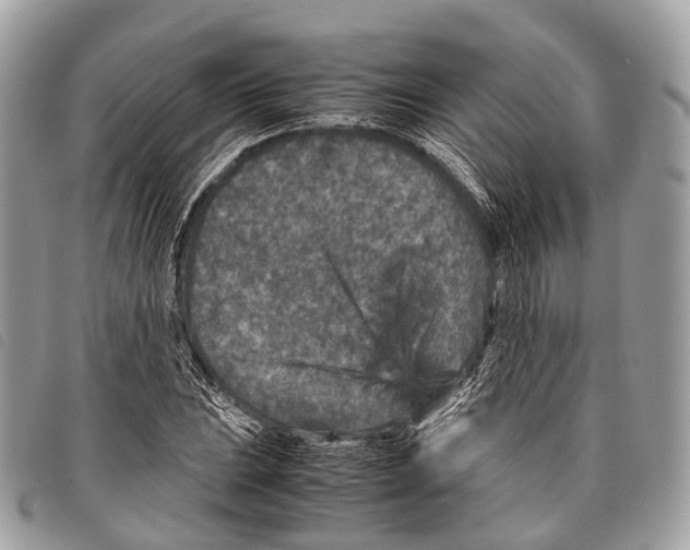 X0000097841023200804111059
