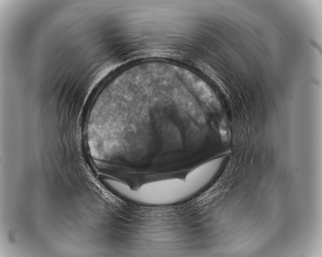 X0000097841024200804111059