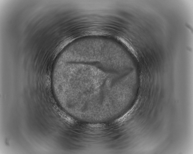 X0000097841025200804111059