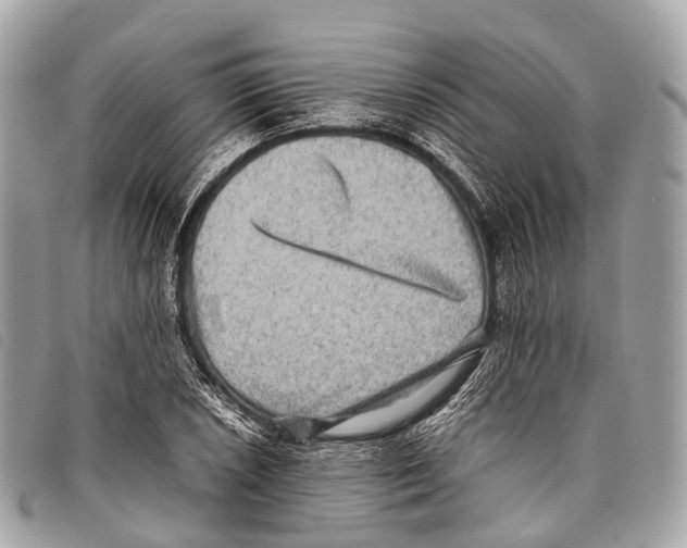 X0000097841026200804111059
