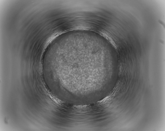 X0000097841027200804111059