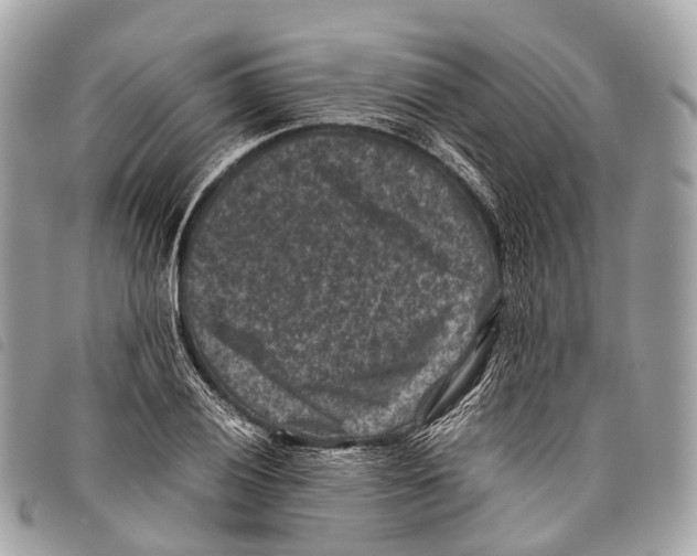 X0000097841028200804111059