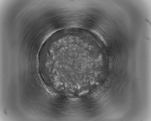 X0000097841031200804111059
