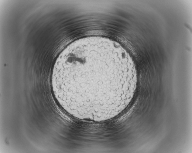 X0000097841033200804111059