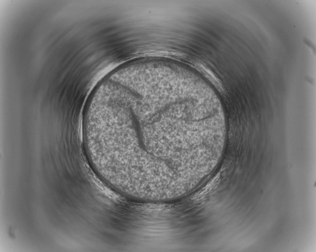 X0000097841036200804111059