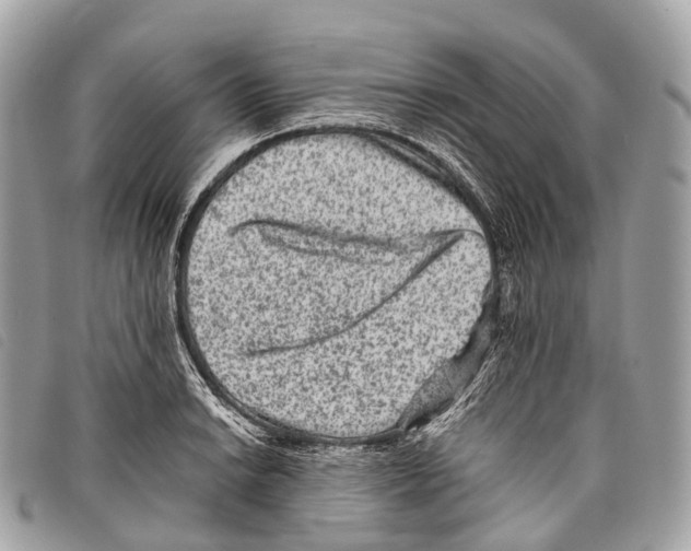 X0000097841038200804111059