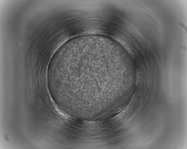 X0000097841039200804111059