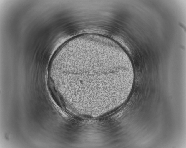 X0000097841040200804111059
