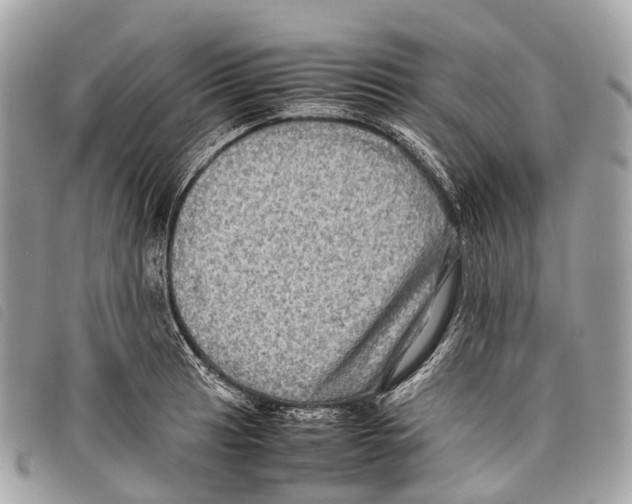 X0000097841041200804111059
