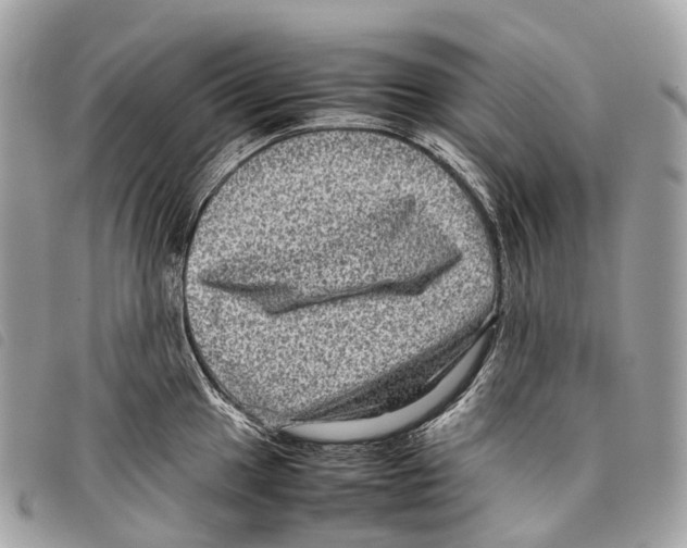 X0000097841049200804111059