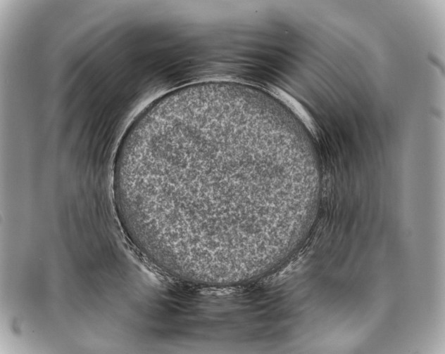 X0000097841051200804111059