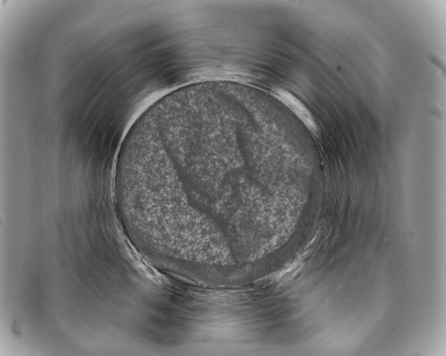 X0000097841052200804111059