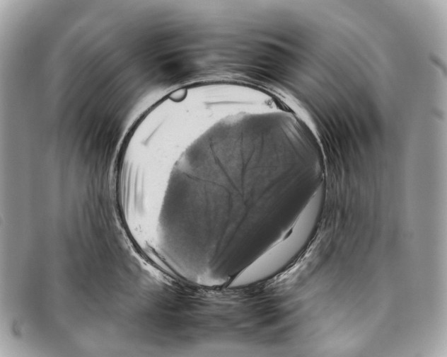 X0000097841053200804111059