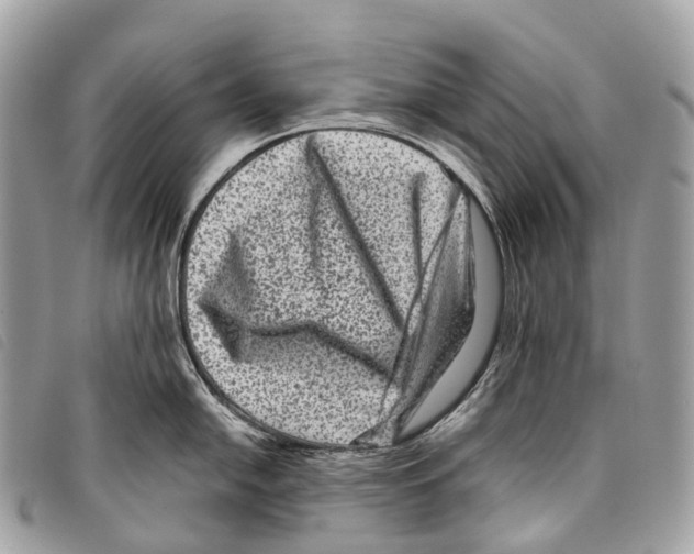 X0000097841054200804111059