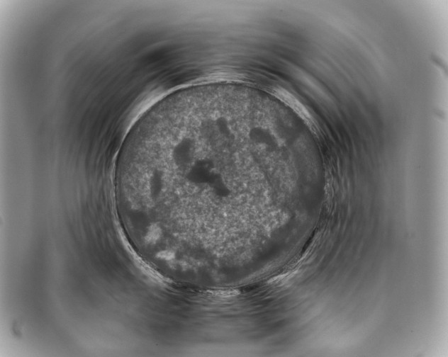 X0000097841055200804111059
